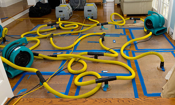 Professional Flood Damage Restoration technician working in Ocean Park, ME